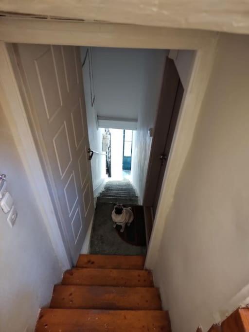 Mary'S Bright Apartment - Corfu Old Town 外观 照片